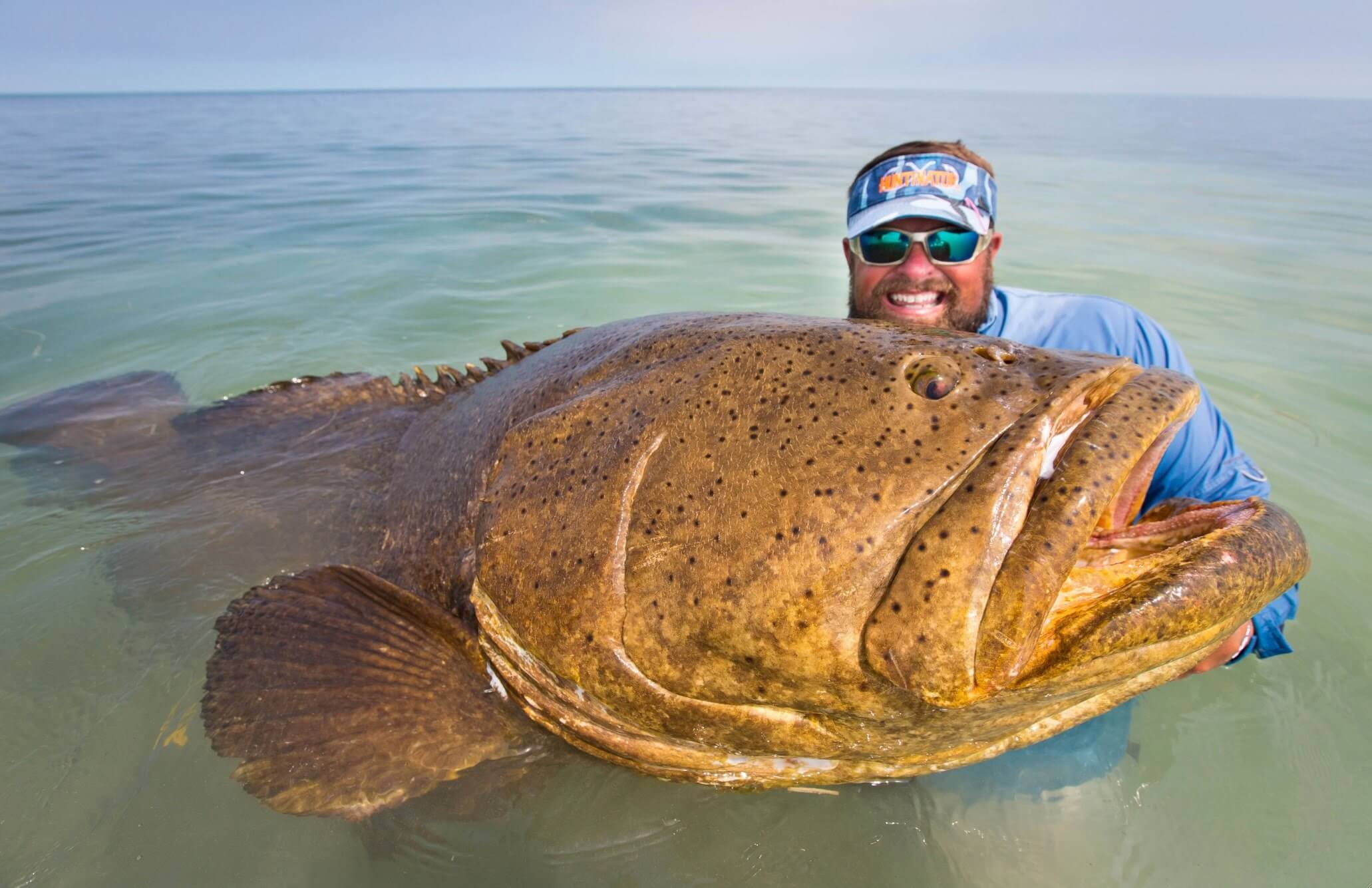 Target Training Fish Understanding Your Target Species – FLOCAL